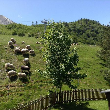 Hotel Boule De Neige Gourette Εξωτερικό φωτογραφία