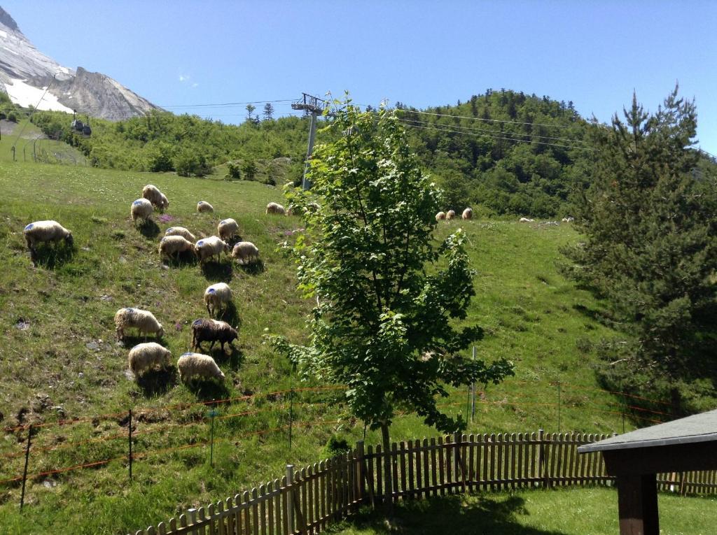 Hotel Boule De Neige Gourette Εξωτερικό φωτογραφία